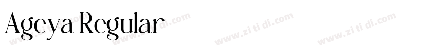 Ageya Regular字体转换